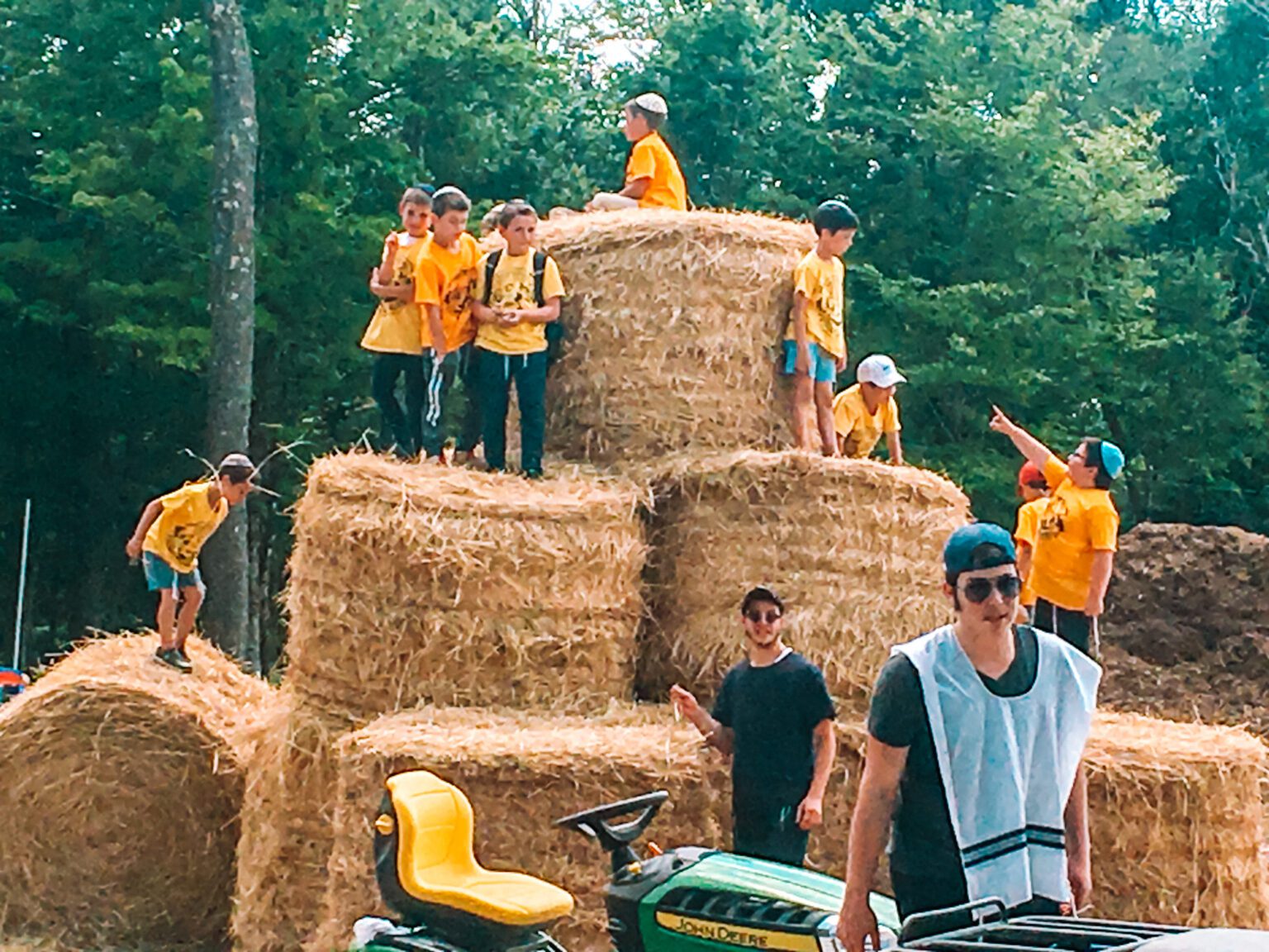 Goldscheins Homestead Good, old fashioned family fun!