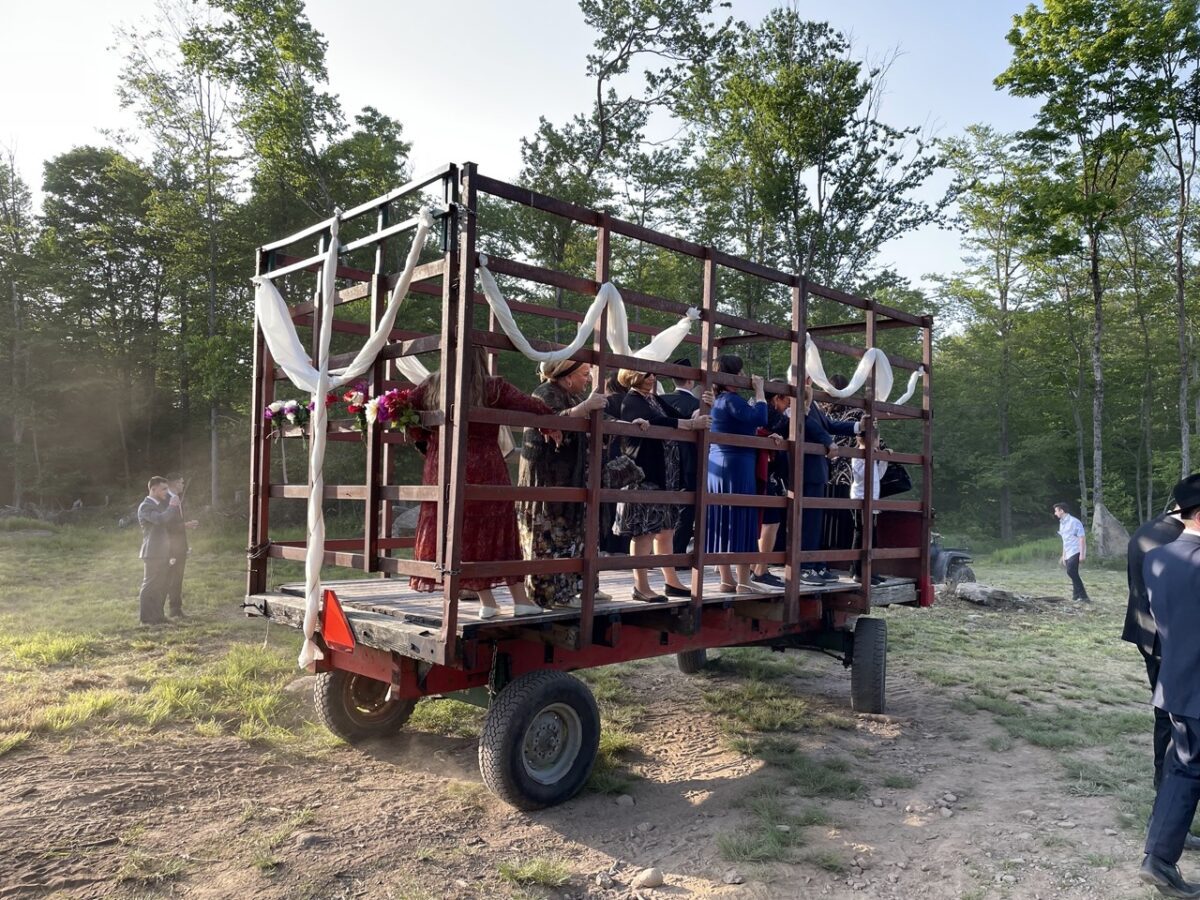 Gallery Goldscheins Homestead