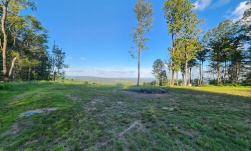 Open field camping at Goldschein's Homestead